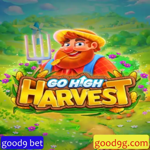 Explorando o Fascinante Mundo de GoHighHarvest